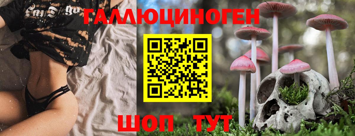 Галлюциногенные грибы ЛСД  Псилоцибиновые грибы ЛСД  Вход с VPN  Советск 